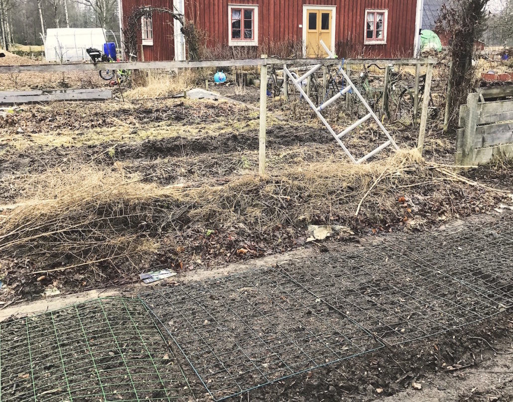 skillnadens_februar