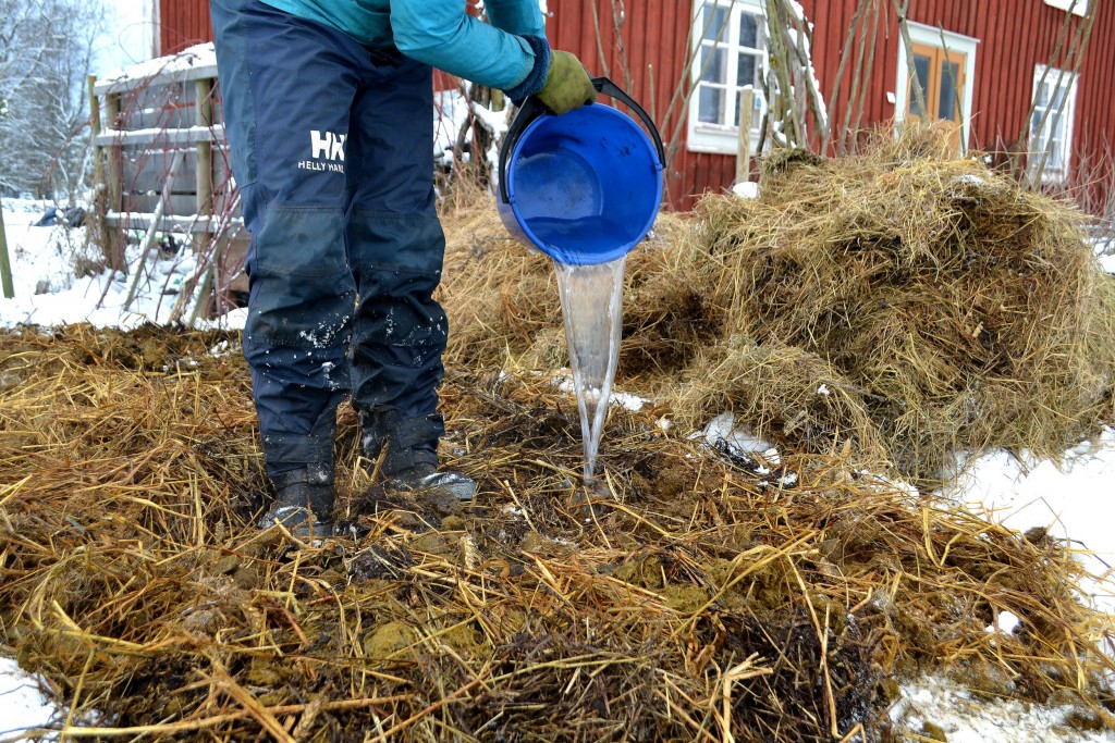 skillnadenstradgard_varmbank_vattna-1024x683