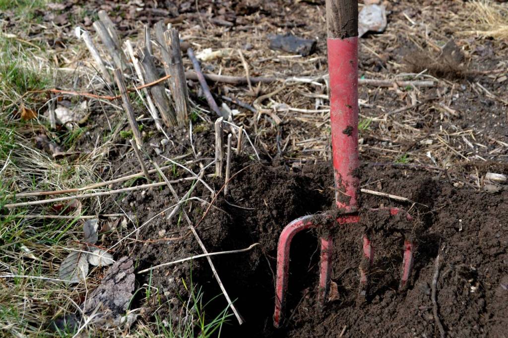 Skockor-4-1024x682