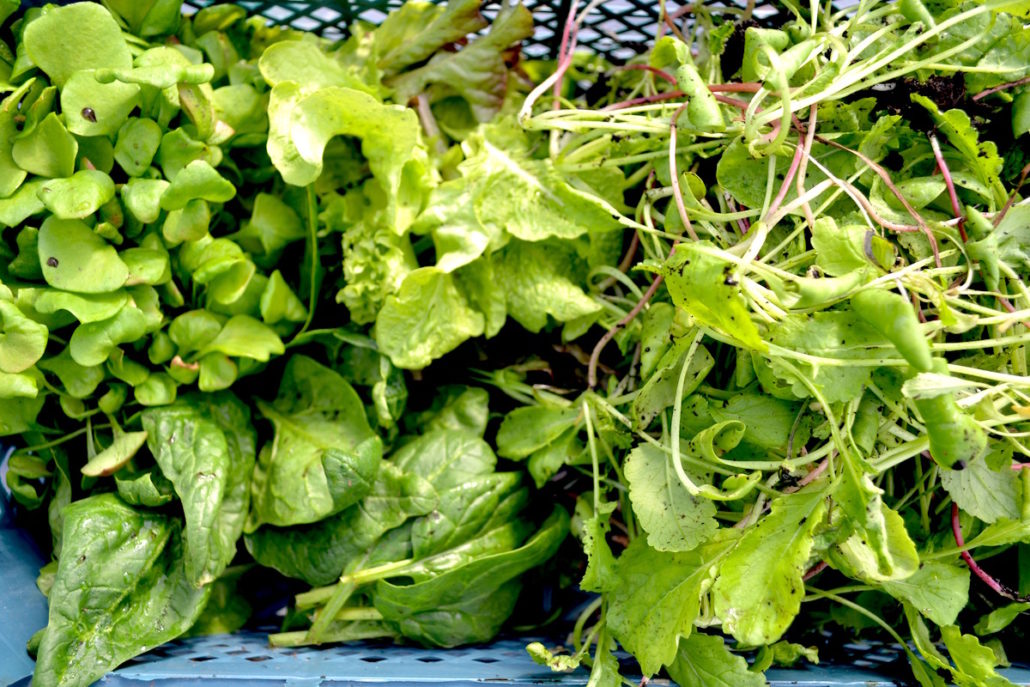 overvintretsalat_1200pxs