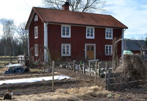 En vårdag med blå himmel syns Saras röda trähus bakom ett antal prydliga, men kala odlingsbäddar.