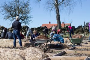 Bland de långa odlingsbäddarna i köksträdgården på Rinkaby gård rensar många kursdeltagare ogräs, gödslar och fyller på med flis.
