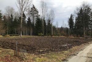 En liten plöjd åker i skogen.