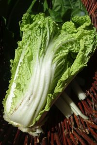Ett litet salladskålshuvud ligger i en korg.