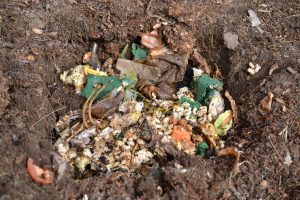 Matavfall ligger i en grop i jorden.