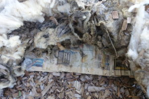 Här har jag lyft undan en bit av ullen för att visa tidningen under.