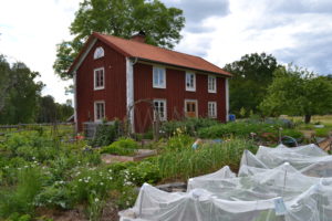 Huset Skillanden mitt i prunkande köksträdgård 2014.