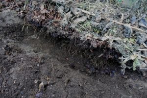 Ett dike är grävt mitt i jorden.