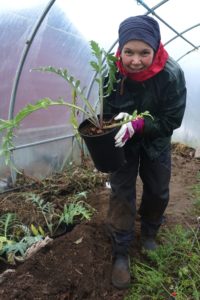 Sara håller en stor kruka med en kronärtskocka.