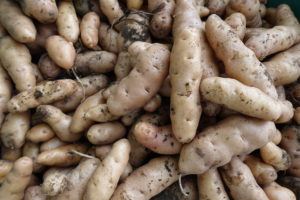 Närbild av läcker potatis.