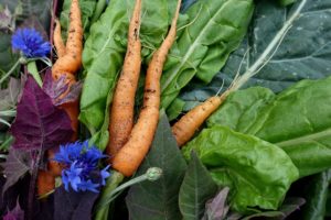 Ett knippe nyskördade grönsaker i olika färger ligger tillsammans.