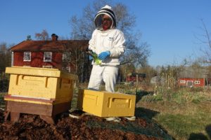 En gul bikupa och en biodlare klädd i vitt.