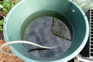 En vattentunna med slangar i.