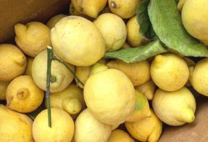 En papplåda med gula citroner.