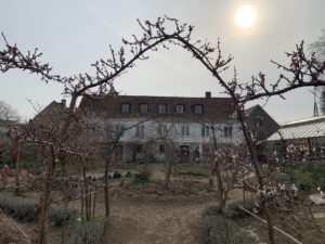 En köksträdgård i motljus.