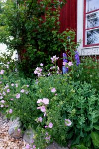 Ett träd i bakgrunden, och röd fönsterbåge, med massor av sommarblommor framför.