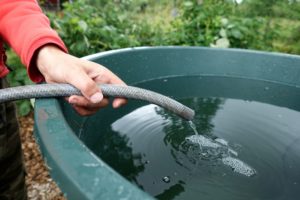 En barnhand håller en vattenslang.
