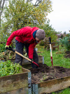 Sara gräver i en pallkrage.