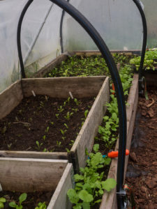 I tunnel står en minitunnel över en bädd och i den är det placerat en pallkrage.