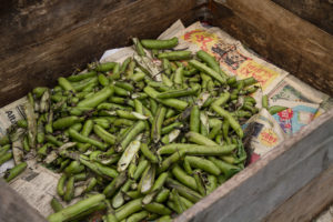 I botten av en pallkrage ligger spritade bondbönsskidor.