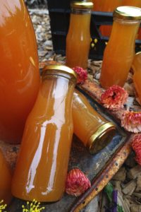 Små och stora flaskor med varmt orange must ligger och står på träflis utomhus.