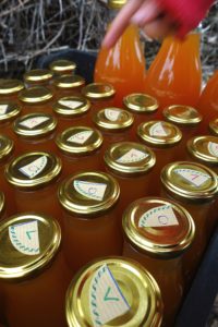 Små flaskor står tätt bredvid varandra, med en liten etikett med bokstav på locket.