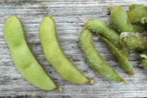 Sojabönor i olika storlek bredvid varandra på ett träunderlag.