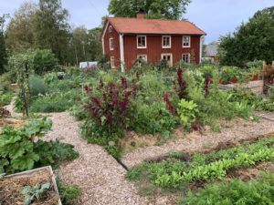 En överblick över köksträdgården; Skillnadens Trädgård