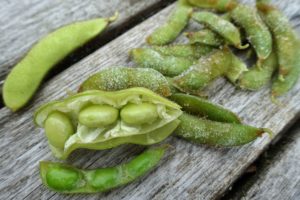 Närbild på öppna gröna sojabönor.