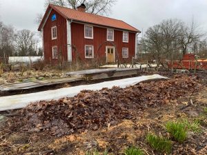 Skillnadens trädgård i vintertid