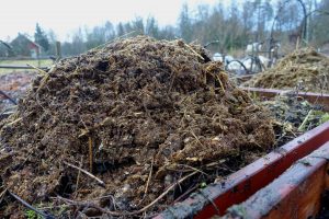 En hög gödsel lagd ovanpå en pallkrage.