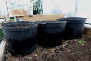 Tre krukor med jord står bredvid varandra vid en pallkrage