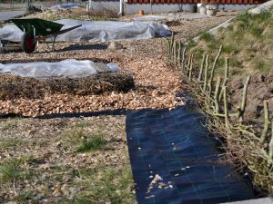 En köksträdgård med upphöjda odlingsbäddar och gångar med träflis