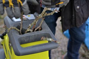 Närbild på händer som trycker ner pinnar i kompostkvarnen.