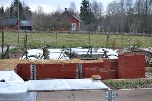 En pallkrageodling med röda pallkragar.
