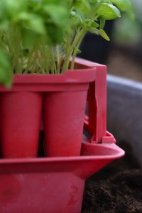 Detaljbild på en röd pluggbox