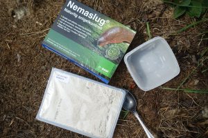 Bild på förpackning med nematoder