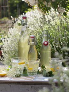 Gammaldags flaskor fyllda med fläderblomssaft på ett bord i ett hav av lavendel.