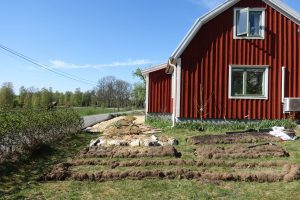 Bäddar anläggs i en ny liten köksträdgård.