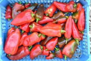 En back med röda paprikor