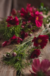 Växtmaterial som förberetts för bukett.