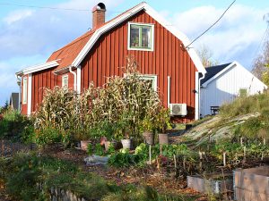 En röd liten stuga med en köksträdgård i höstskrud.