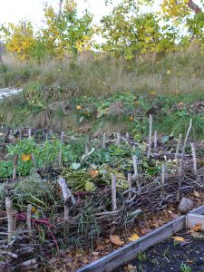 Kviststaket som ramar in en upphöjd bädd