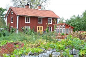 Ett rött parhus med grön trädgård och gula löv.