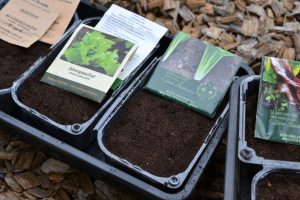 Plastaskar med jord och fröpåsar ovanpå.