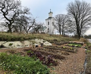 En köksträdgård med odlingsbäddar som går mot vintertid.
