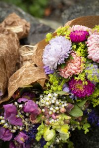 Liten bukett med Aster