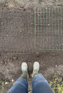 Kompostgaller på odlingsbädd fotograferade ovanifrån, stövlar syns bredvid bädden.