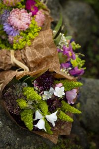 Liten bukett med Aster