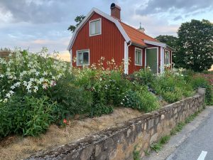 En liten röd stuga med blomsterrabatt framför.